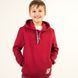 Худі дитяче з капюшоном для хлопчика тринитка Trendy Tot 03-01361 бордовий 122 см (7 років) 03-01361-58976 фото 1 | Trendy Tot