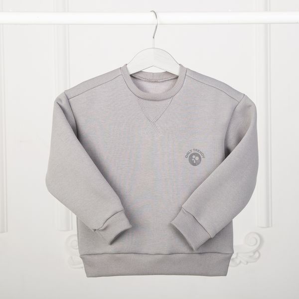Світшот дитячий для хлопчика тринитка Trendy Tot 03-01554 сірий 128 см (8 років) 03-01554-61125 фото &ndash; купити в Trendy Tot