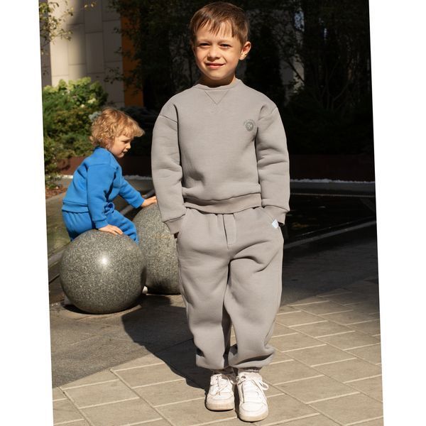 Світшот дитячий для хлопчика тринитка Trendy Tot 03-01554 сірий 128 см (8 років) 03-01554-61125 фото &ndash; купити в Trendy Tot