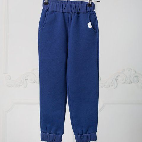 Штани дитячі спортивні для хлопчика трикотаж Trendy Tot 03-01523 синій 110 см (5 років) 03-01523-60521 фото &ndash; купити в Trendy Tot