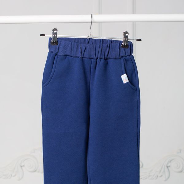 Штани дитячі спортивні для хлопчика трикотаж Trendy Tot 03-01523 синій 110 см (5 років) 03-01523-60521 фото &ndash; купити в Trendy Tot