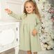 Сукня з довгим рукавом для дівчаток трикотаж Trendy tot 03-01514 оливковий 98 см (3 роки) 03-01514-60761 фото 1 | Trendy Tot