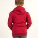 Худі дитяче з капюшоном для хлопчика тринитка Trendy Tot 03-01361 бордовий 116 см (6 років) 03-01361-58975 фото 5 | Trendy Tot
