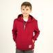 Худі дитяче з капюшоном для хлопчика тринитка Trendy Tot 03-01361 бордовий 116 см (6 років) 03-01361-58975 фото 7 | Trendy Tot